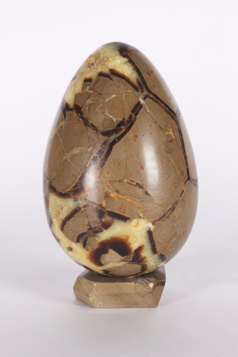 Septarie egg from Madagascar