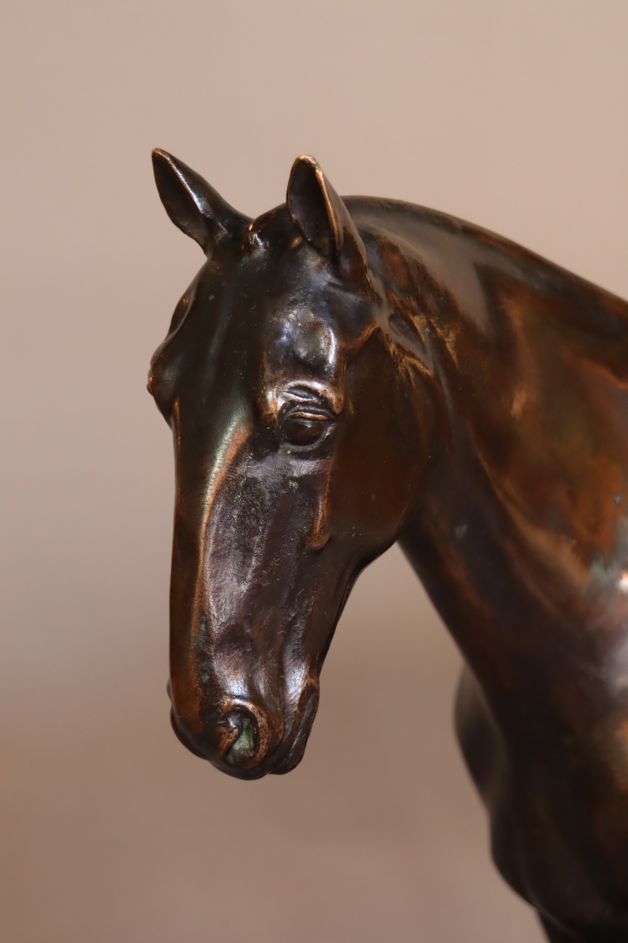 Bronze of a horse , circa 1920