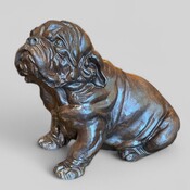 Bulldog , French , circa 1960