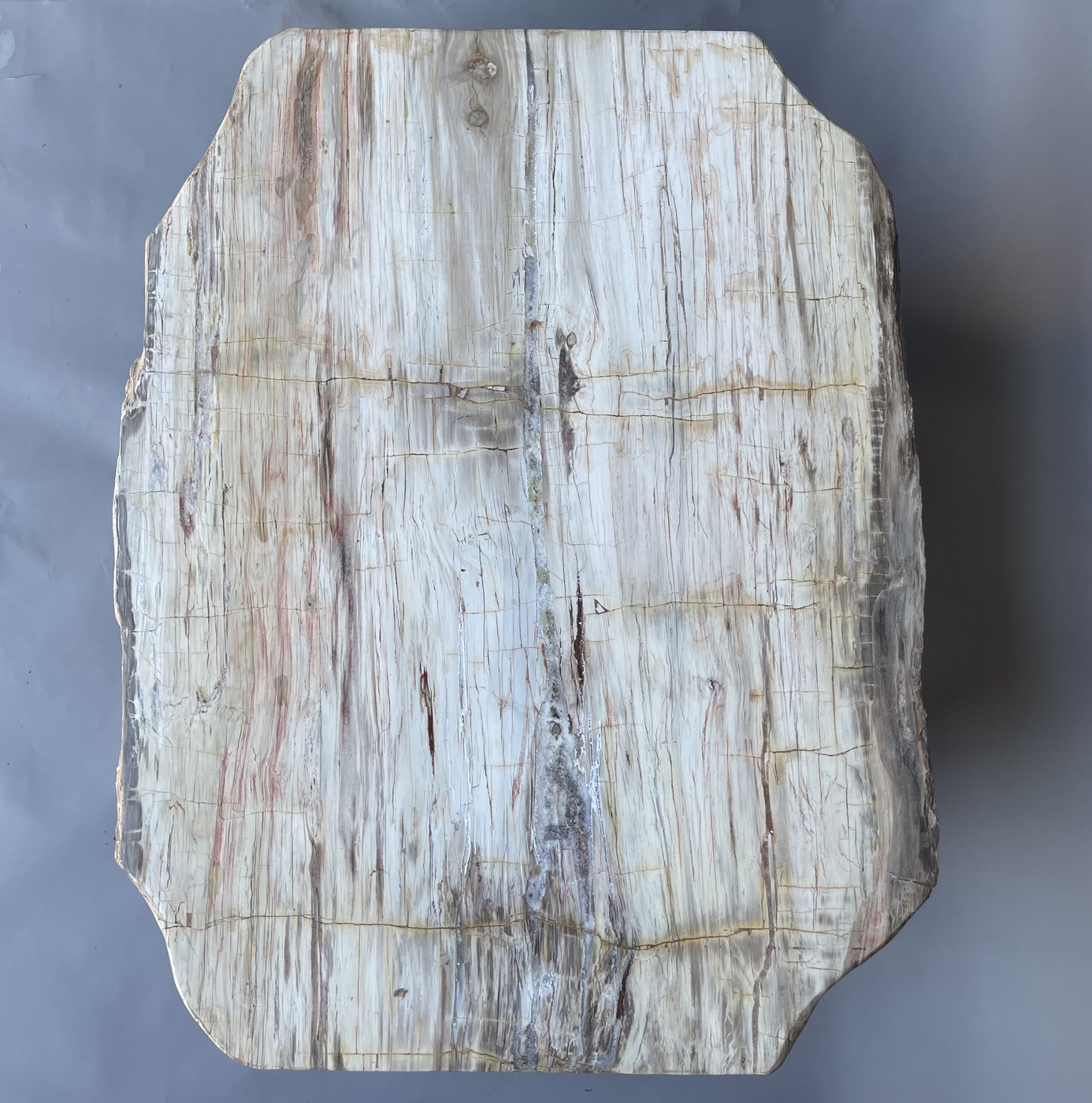 Coffee table with petrified wood top