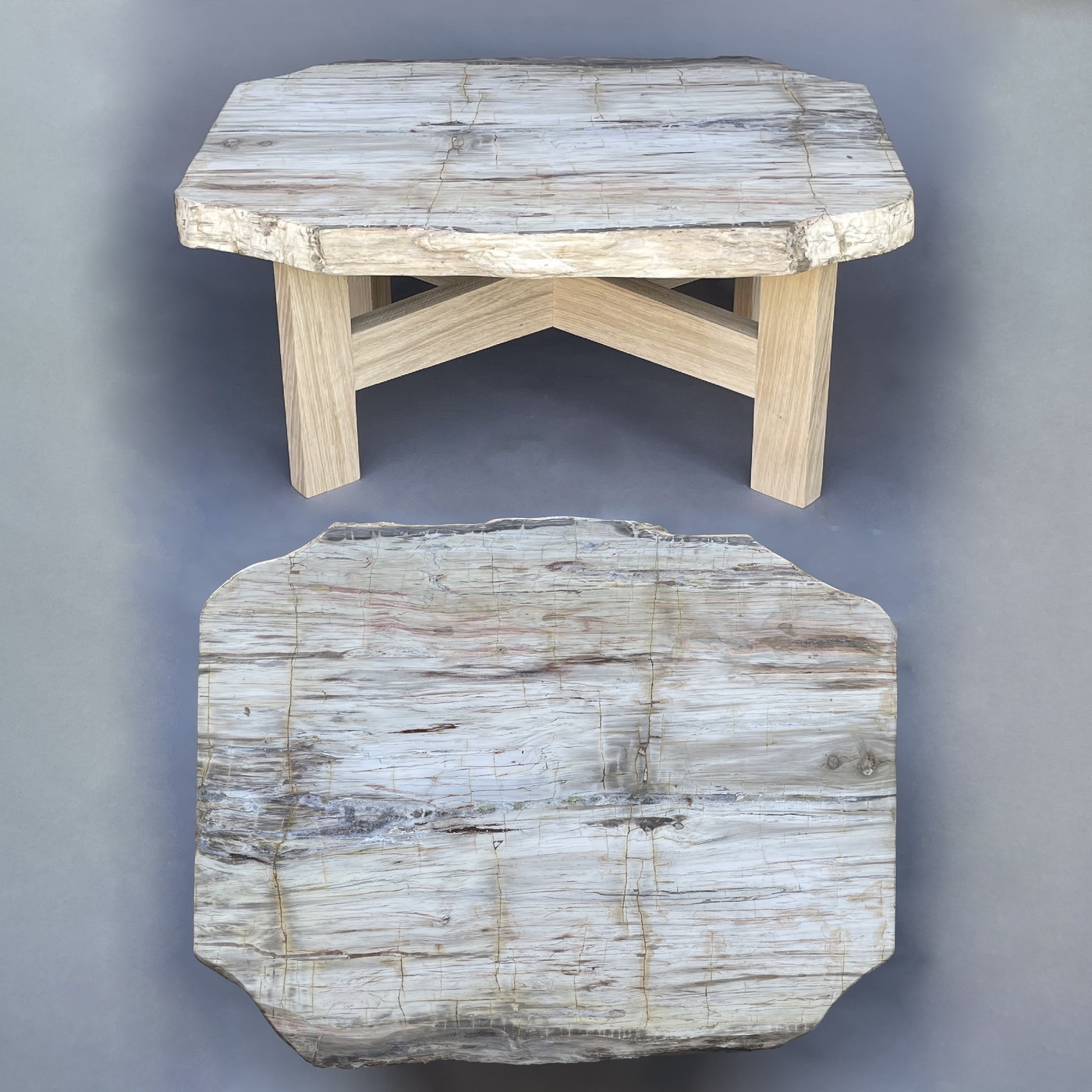 Coffee table with petrified wood top