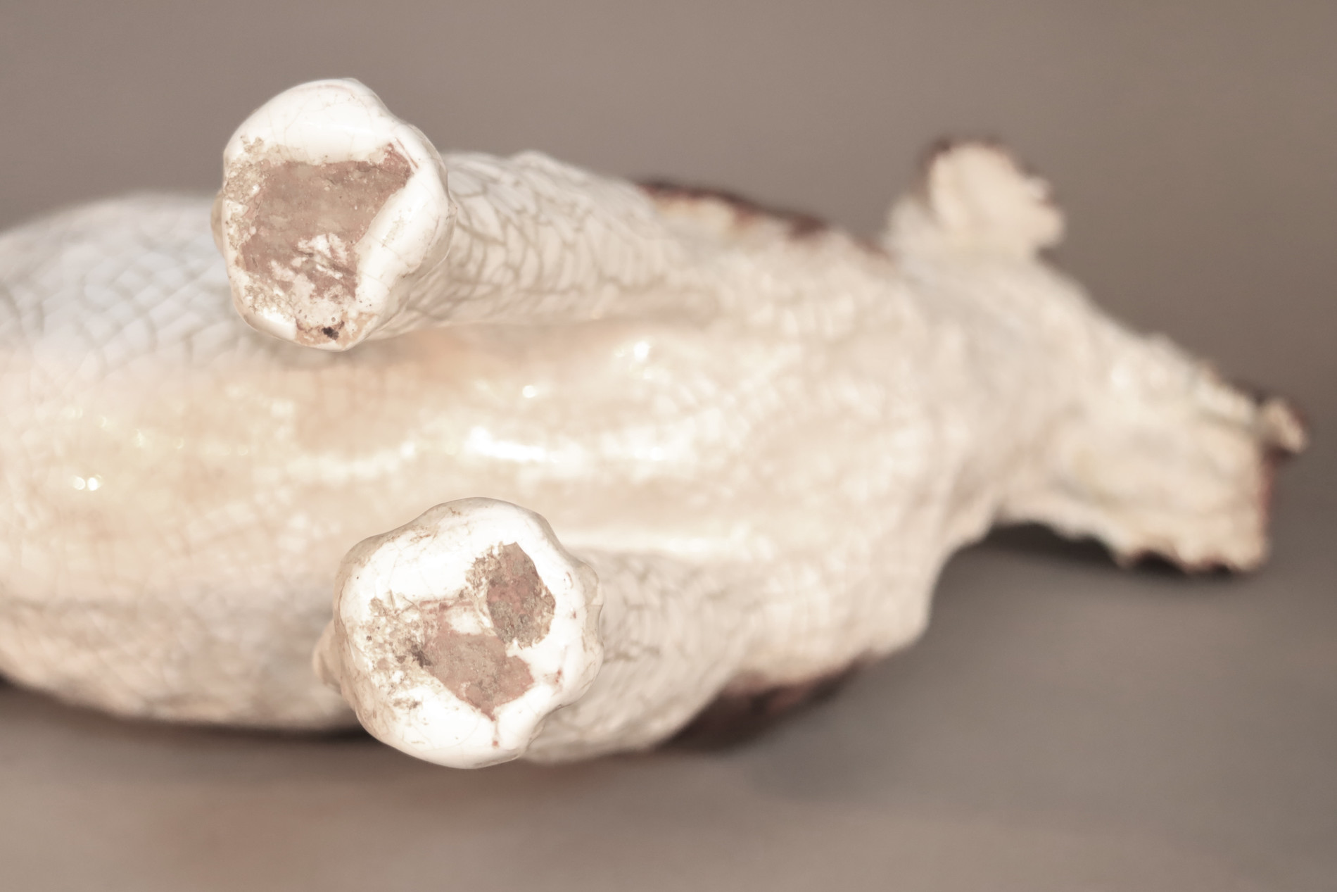 Glazed terracotta wire fox terrier