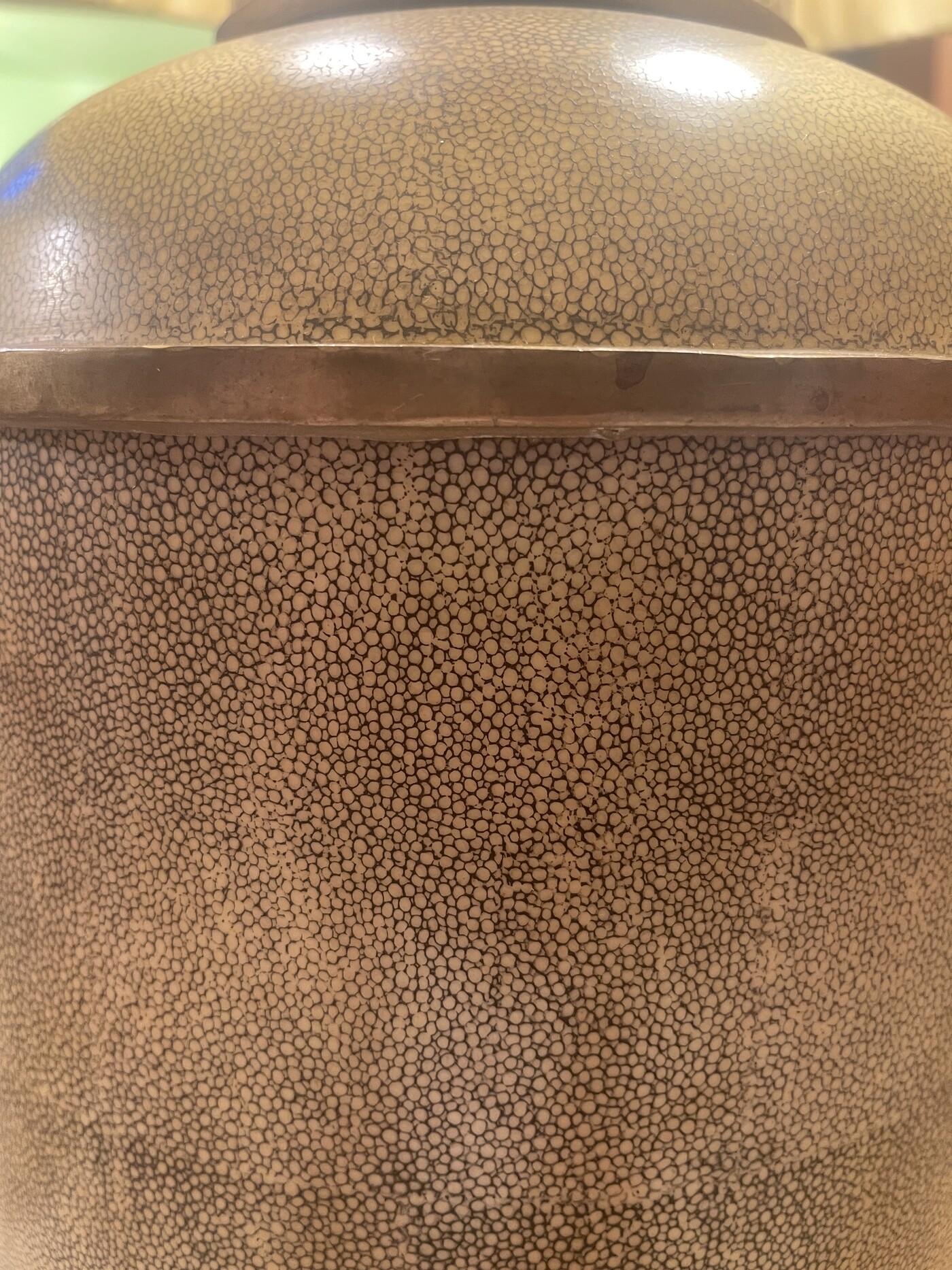 Pair of lamps in Galuchat with Handmade lampshades